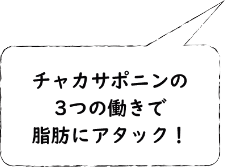 チャカサポニンの働き　3つの作用で脂肪にアタック！