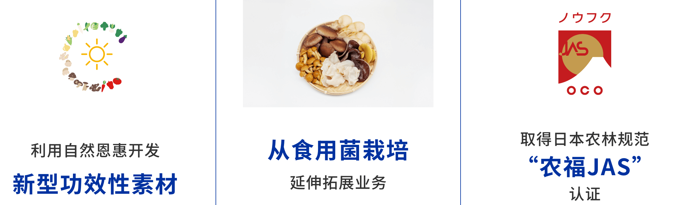 利用自然恩惠开发新型功效性素材 从食用菌栽培延伸拓展业务 取得日本农林规范“农福JAS”认证