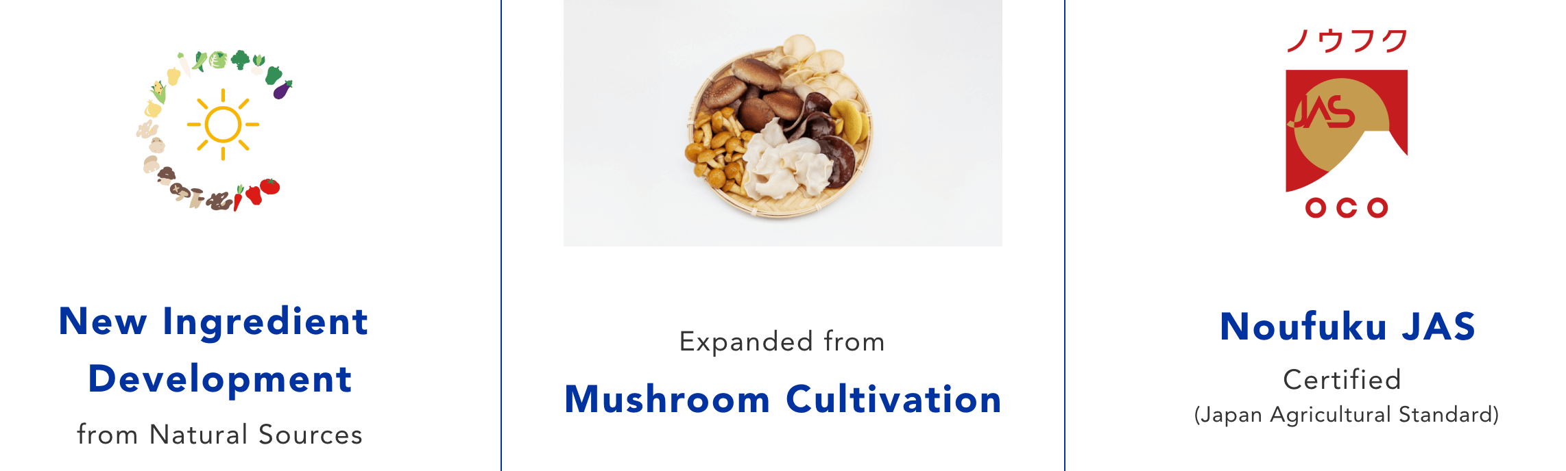 New Ingredient Development from Natural Sources Expanded from Mushroom Cultivation Noufuku JAS Certified (Japan Agricultural Standard)