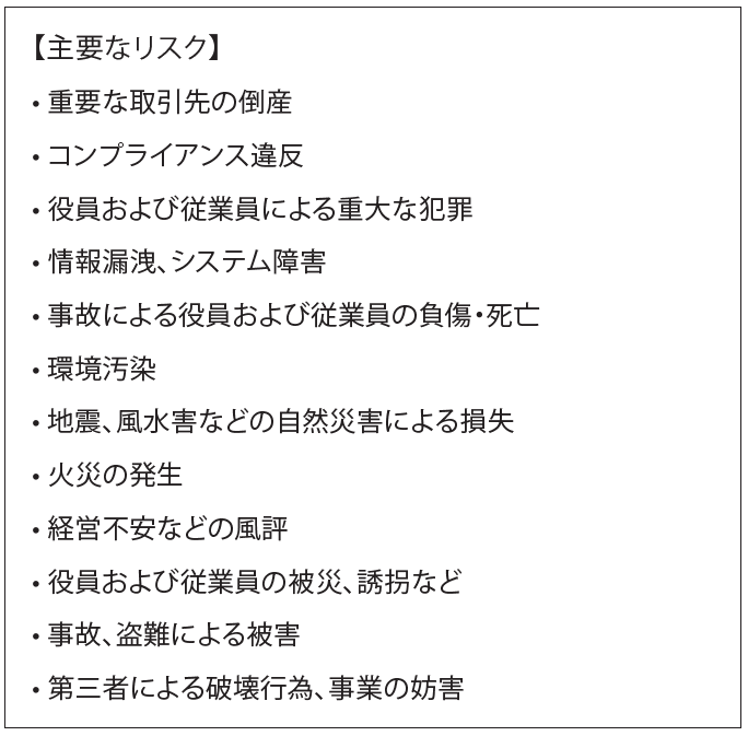 箇条書きで12項目主要なリスクを示している