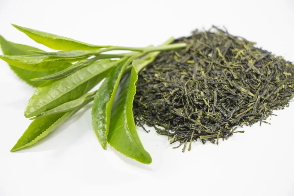 緑茶抽出物（GREEN TEA PE）