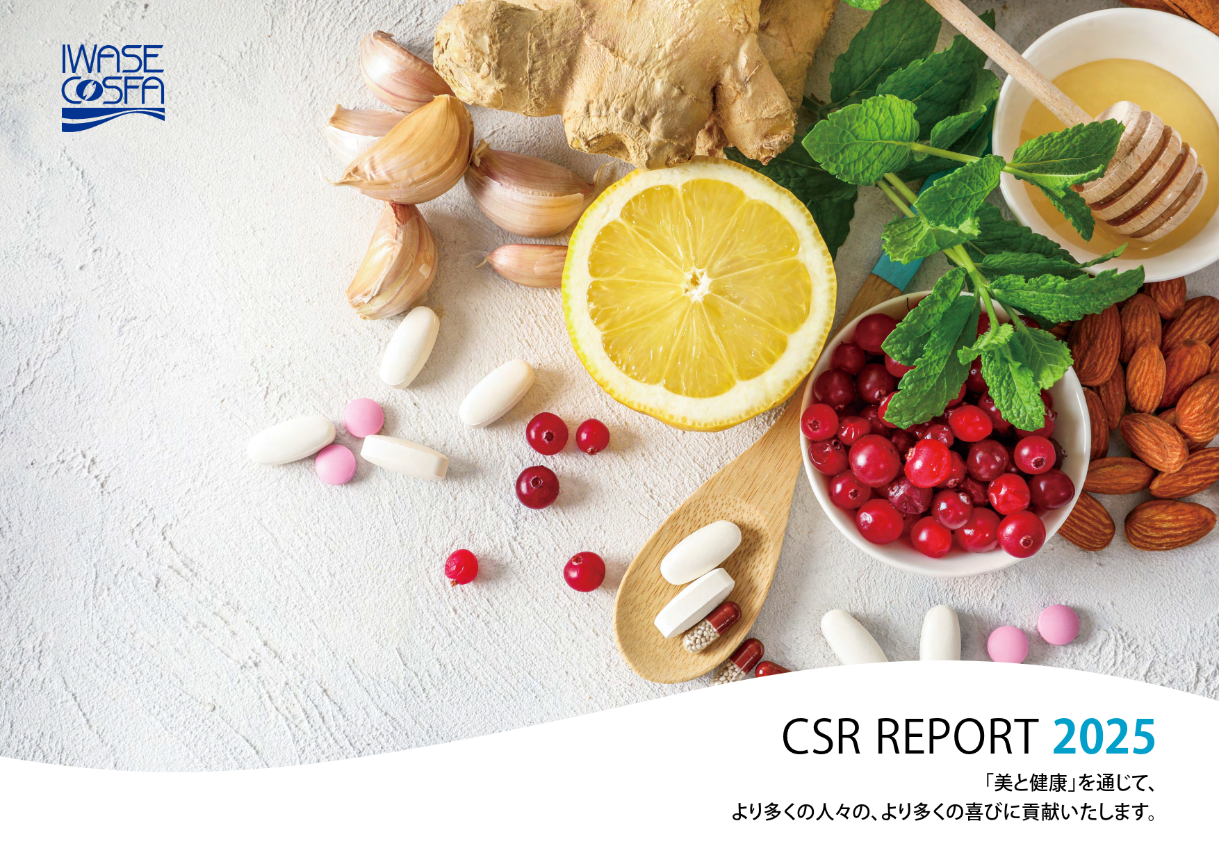 CSR REPORT 2025